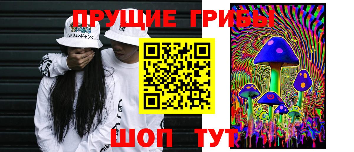 Галлюциногенные грибы Magic Shrooms  Вход с VPN  Нальчик 